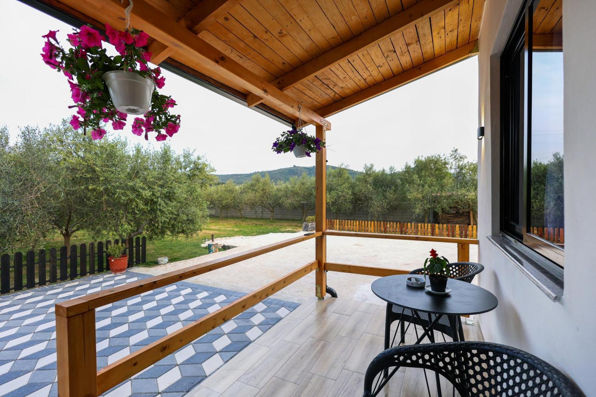 Olive Oasis Studio Берат Экстерьер фото
